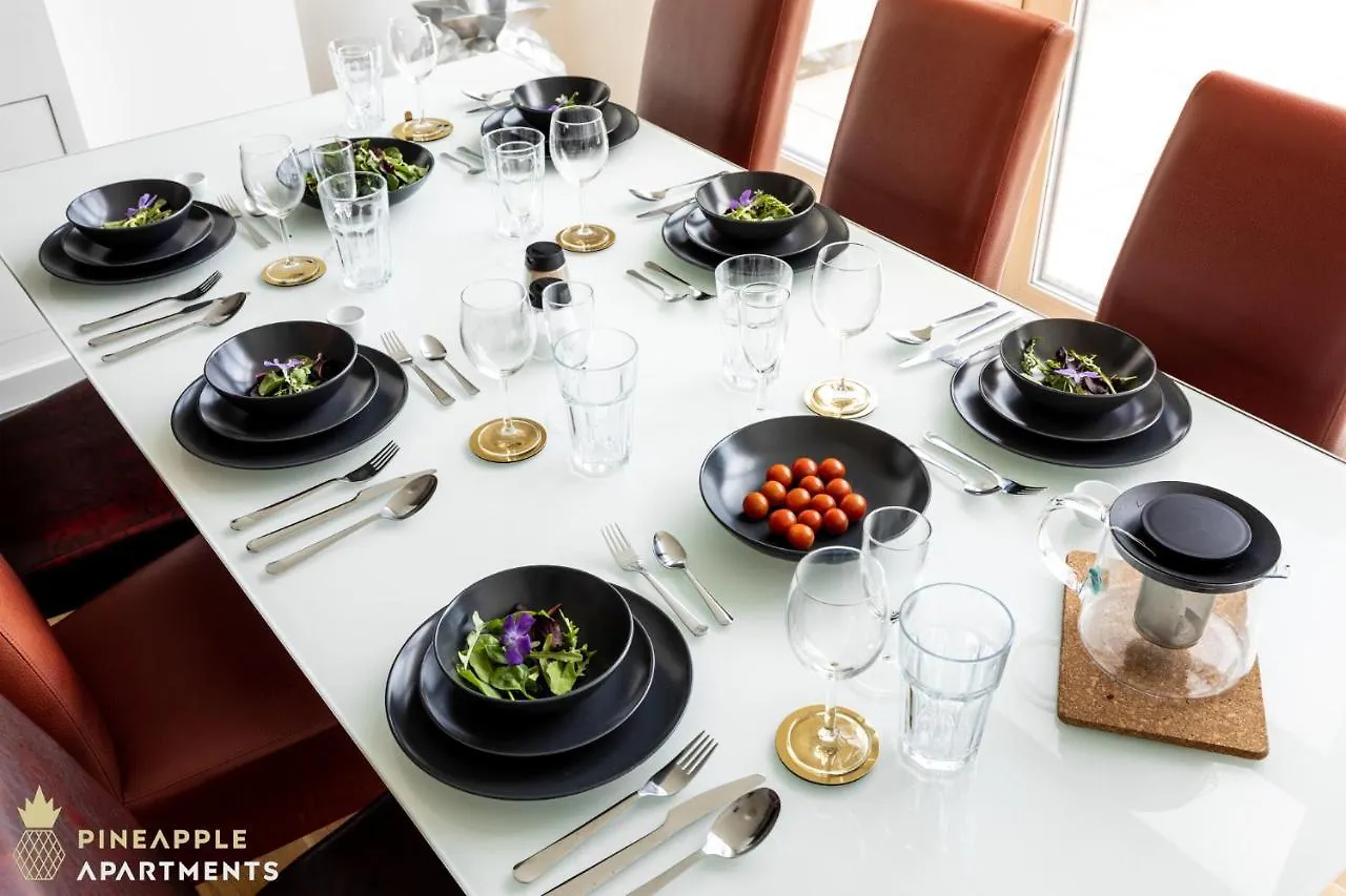 Pineapple Apartments Dresden Mitte III - Free Parking ألمانيا
