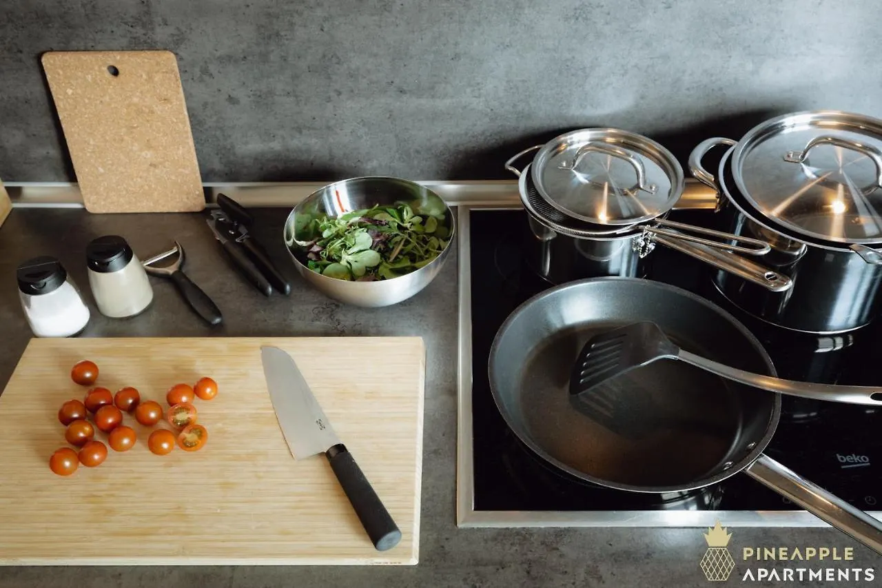 Pineapple Apartments Dresden Mitte III - Free Parking ألمانيا